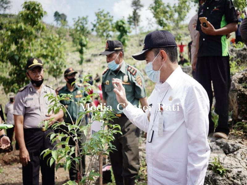 PENANAMAN POHON DEMI JAGA KELESTARIAN HUTAN