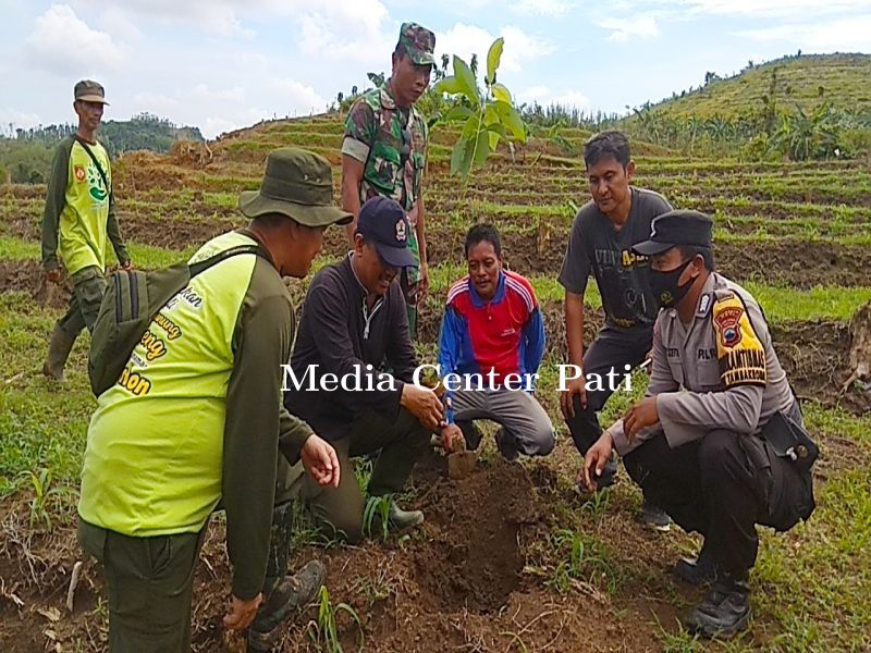 Penanaman 1.546 Bibit Alpukat di Kawasan Pegunungan Kendeng, Aksi Nyata Mitigasi Bencana 