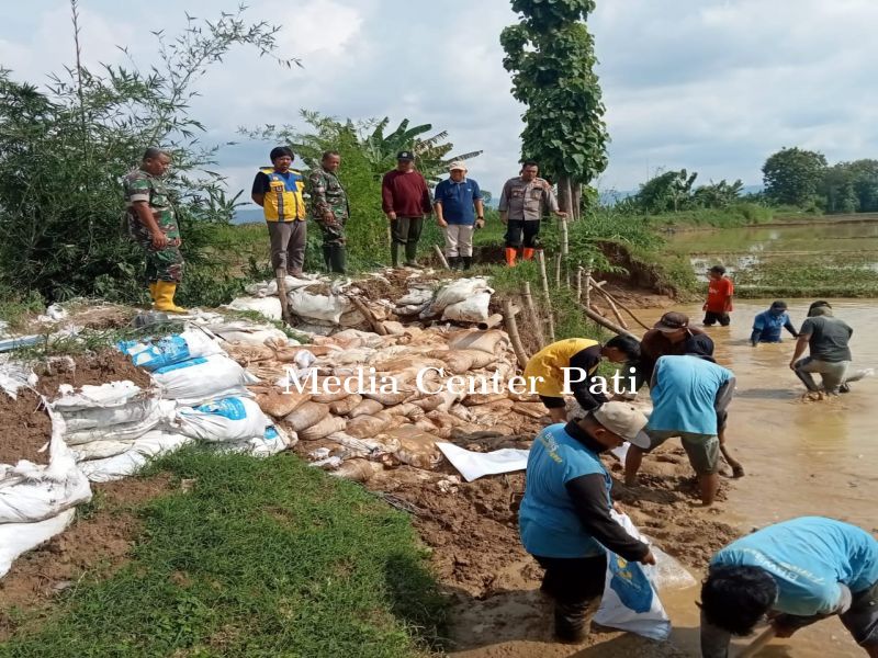 Camat Tambakromo Bersama Jajarannya Pantau Dampak Kondisi Banjir 