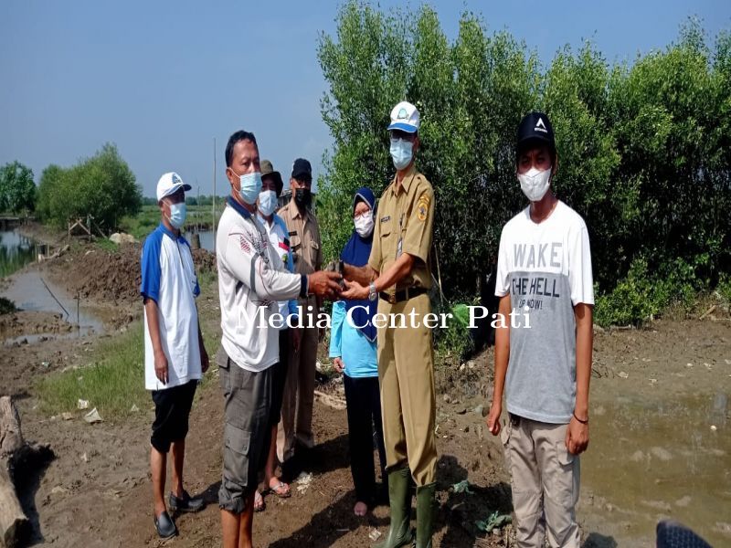 KELOMPOK TANI MAKMUR TERIMA BIBIT MANGROVE SIAP TANAM