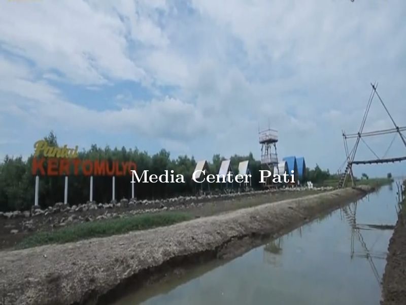 MENGENAL DESTINASI MANGROVE PANTAI KERTOMULYO