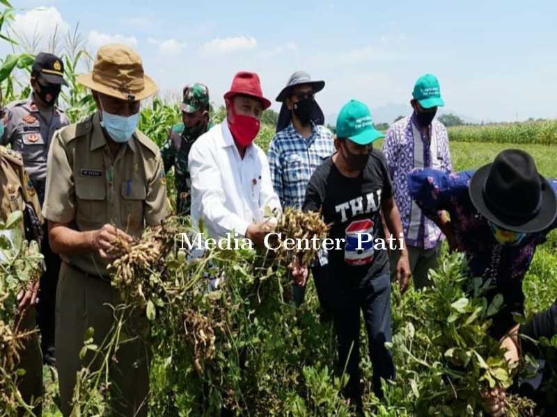 JANGAN MALU MENJADI PETANI